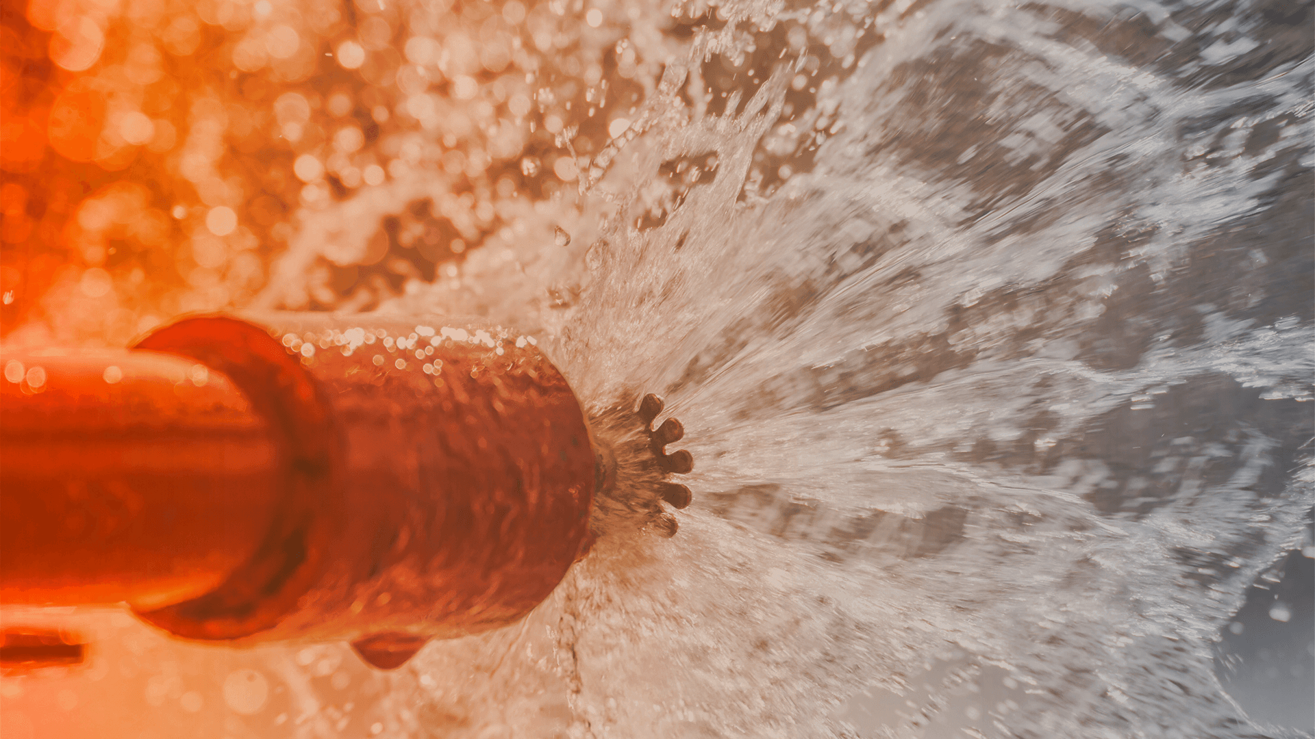 Specialist Electrical Services